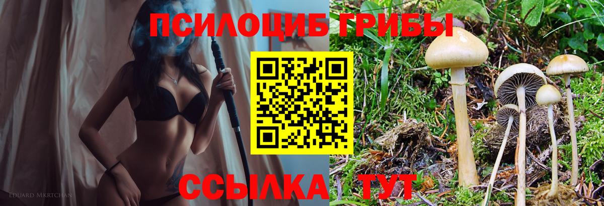 купить   Вход с VPN  Псилоцибиновые грибы прущие грибы  Верхний Уфалей  Псилоцибиновые грибы прущие грибы 